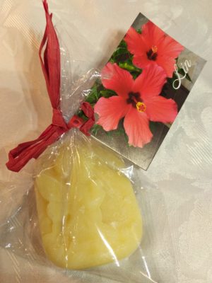 041 Saponetta