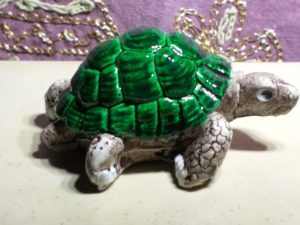 170 Tartaruga