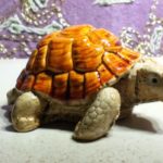 170.2 Tartaruga