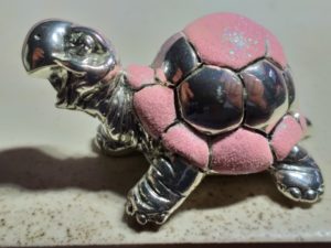 172 Tartaruga