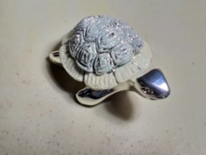 173 Tartaruga